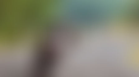 Nunca te confíes, en cualquier momento…