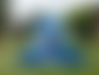 Chewy Bark Park Grand Opening Celebration on The Underline