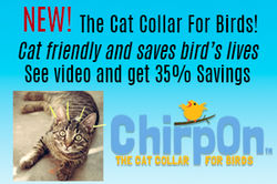 Small Ad Graphic v6.2