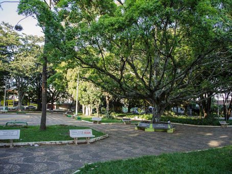 Os Detalhes de São Carlos: Pequenas Cenas que Revelam a Essência da Cidade