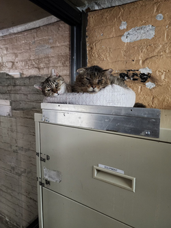 7102E20D-03C6-4689-AA81-5F986B7404D7