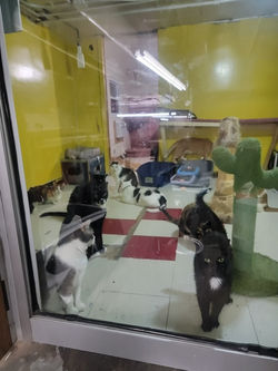 3B6C73ED-0B46-4A8F-B544-F5B7935705DC_1_105_c