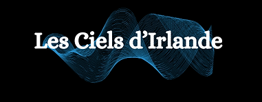 logo sans tagline.png
