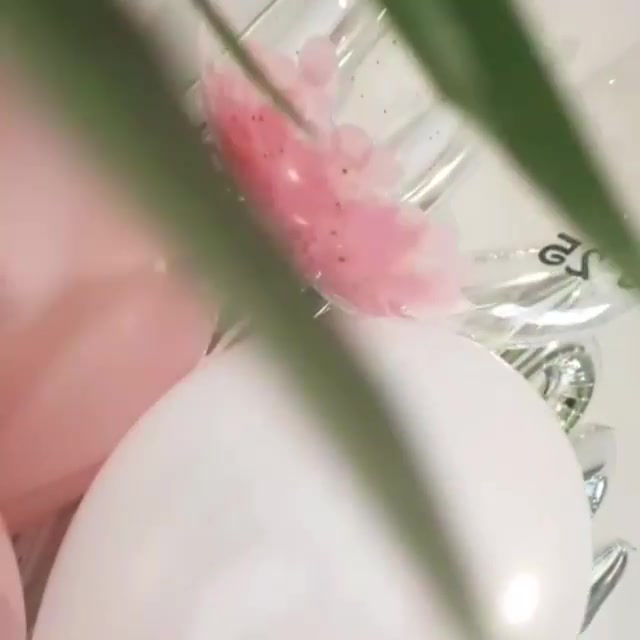 תמונה ממוזערת: זר היפהפייה הנרדמת