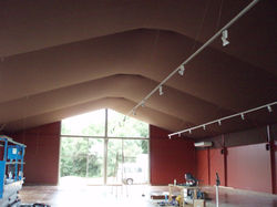 Carpa Girona