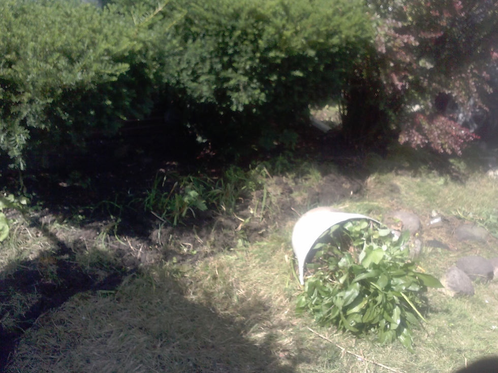 CAM00632.jpg