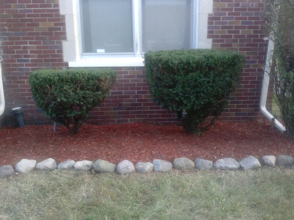 CAM00638.jpg