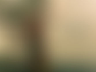 Ship loader operation guide at the dock