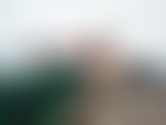 The structure of the screw type ship unloader