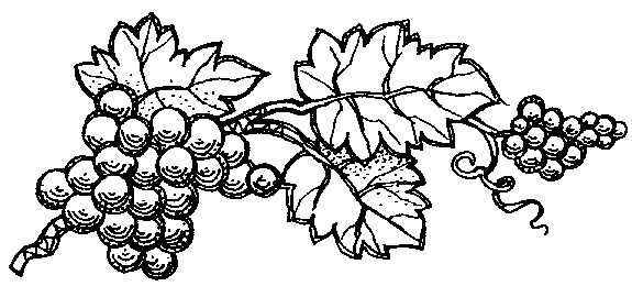 vigne05.gif