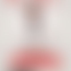 REY RUIZ EN CONCIERTO 14 DE FEBRERO 2026 LEHMAN CENTER BRONX, NEW YORK