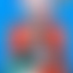 Viva la salsa Medellín 2026 oscar de leon