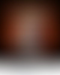 Mexico concierto Romeo santos y prince Royce octubre 25 - 2026