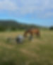 pierre-chatel-innocenti-Lk-nu_hX6ms-unsplash 2.png