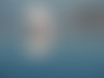 White boxer dog standing on wet beach sand looking at its reflection in shallow water, symbolising self-awareness and quiet reflection.