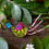 Myna the Bird: Brooch