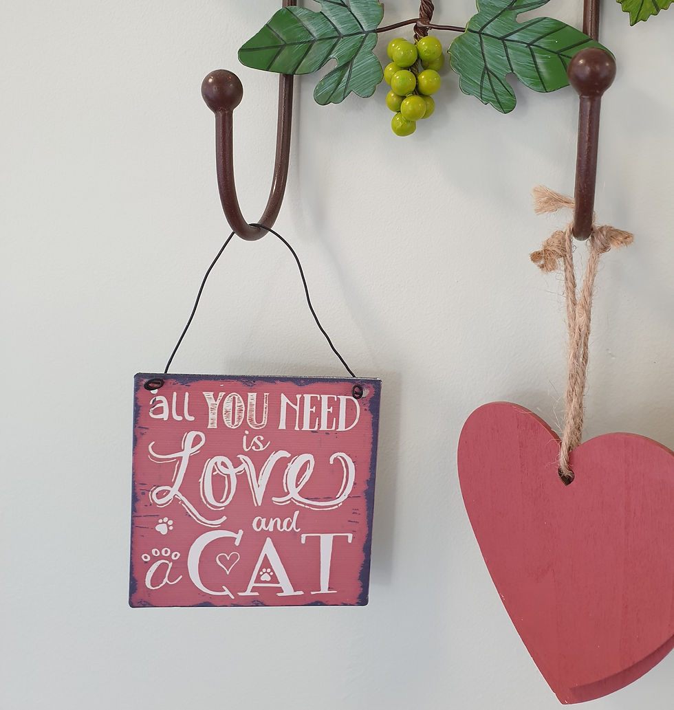 Welcome to Cawthorne Cat Hotel