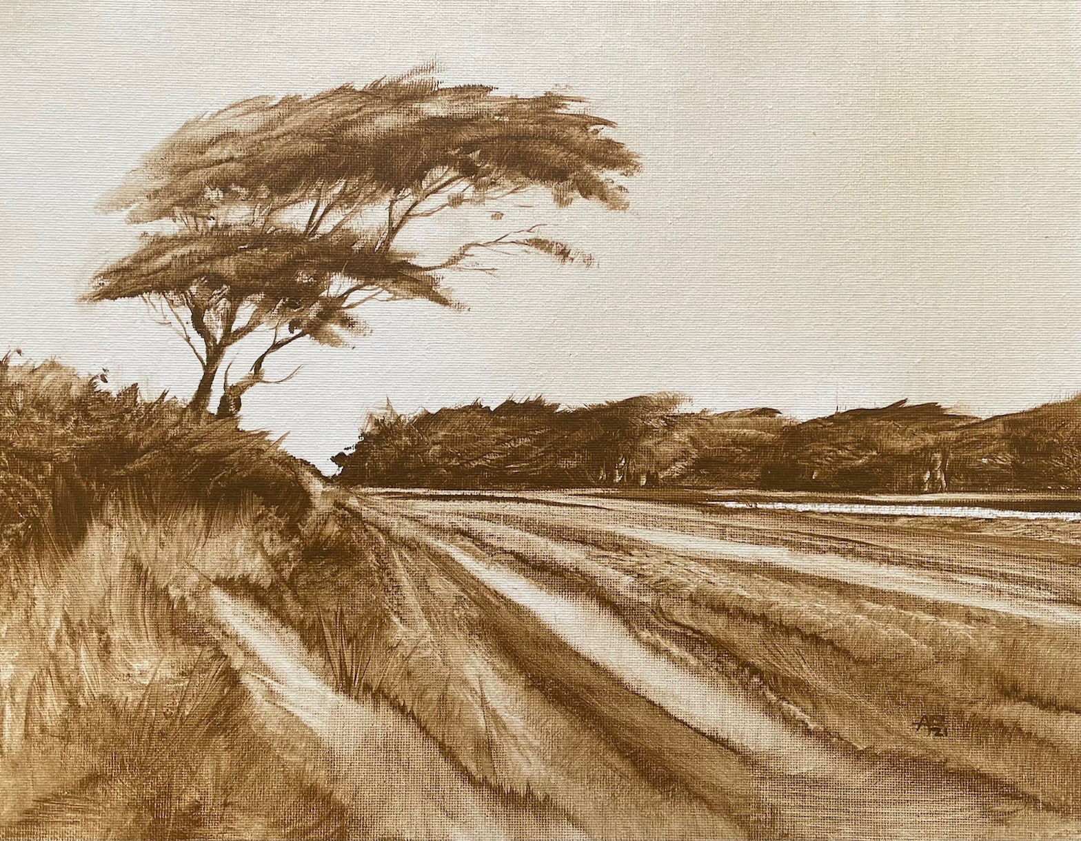 Mono Study: Windswept Kilbride