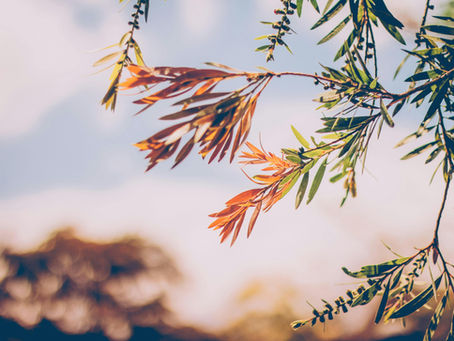 Find Your Groove this Fall