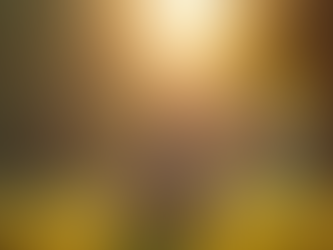 Quel contrat santé choisir pour vos salariés à l’international ?