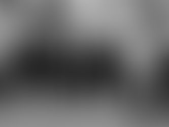 El equipo docente del Taller D