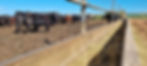 20220827_113746.jpg