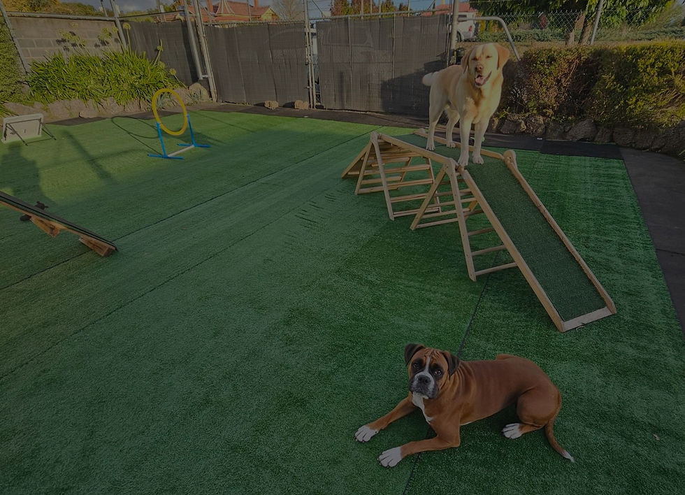 346109118_1240997316532855_6294366588551991076_n (1) (2)_edited_edited.jpg