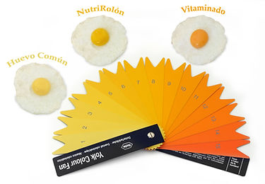 yemas colorimetro con nombres.jpg