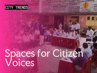 Spaces for Citizen Voices