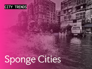 Sponge Cities