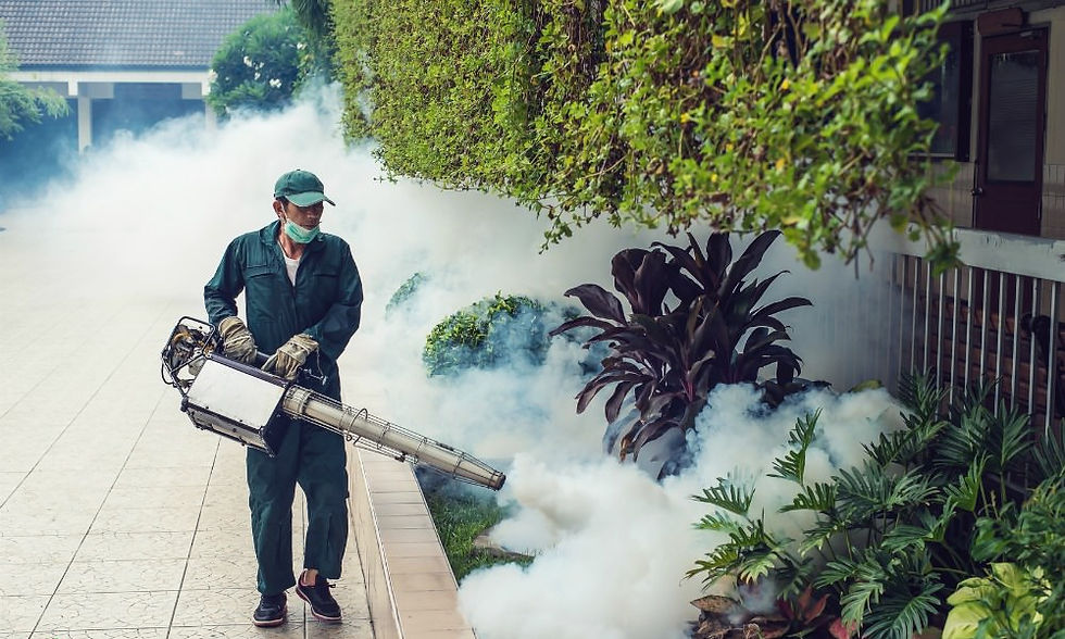 Mosquito Fogging | Source: The Healthy Home Economist