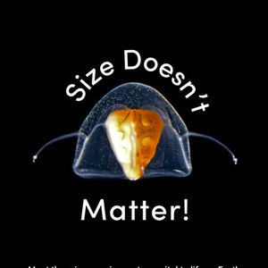 Size Matters