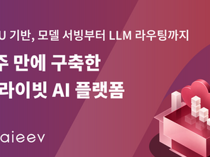 Air Cloud 고객 사례: 2주 만에 구축한 NPU 기반 프라이빗 AI 플랫폼