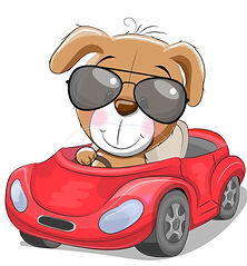 puppycar_edited.jpg