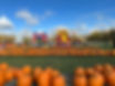 Unknown-5.jpeg