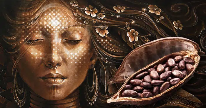 SacredCacaoFeature.webp