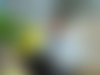 โครงการพัฒนาประสิทธิภาพในการจัดทำงบประมาณและบริหารงบประมาณ ปี 2566