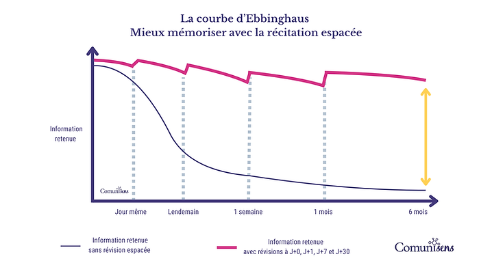 Courbe Ebbinghaus mémoriser anglais Comunisens.png