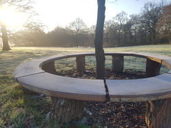 The Circular Bench one year on