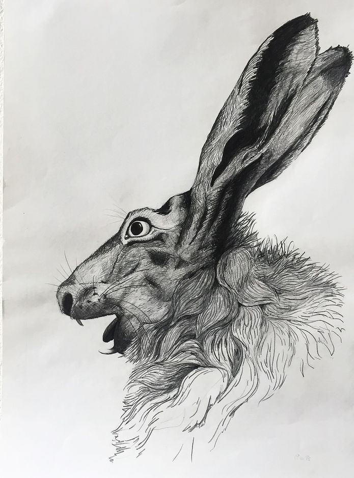 Edvard Munch feldhase schrei wild frei zeichnung illustration artist art kunst Zeichnung malerei tanja deschner Albrecht Dürer genau exakt Nürnberg must have liten lycka Wildtier wald frei nordic noir art lovers, art ny moderat trendingart musthaveseen musthaveart painting of the day fineart drawingart Designinspiration creative design Artdesign artdecor galleryvibes