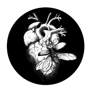 Herzkäfer menschliches herz illustration zeichnung heart beetle love naked woman deep love pure art konst kunst zeichnung drawing black white schwarz weiss