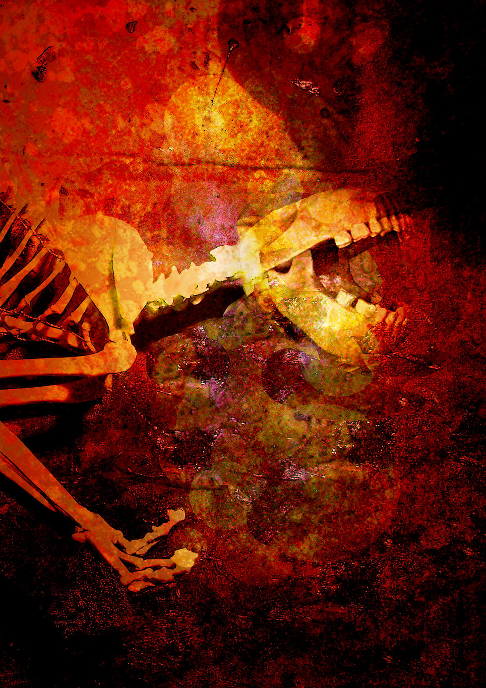 Teeth