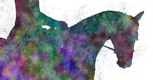 Where the Dressage Marks are?