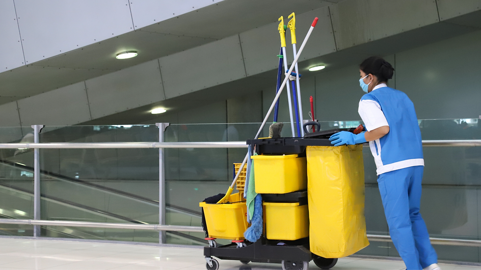 woman cleaning a mall