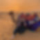 17936286751834223.webp