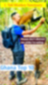 My top ten Ghana scenes: The Tafi-Atome Monkey Sanctuary at