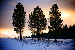 IMG_8737 - Version 3