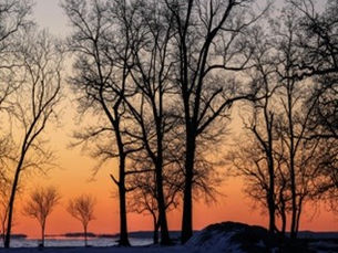 Seasonal Wonders in Kashmir: Experiencing Each Season's Magic