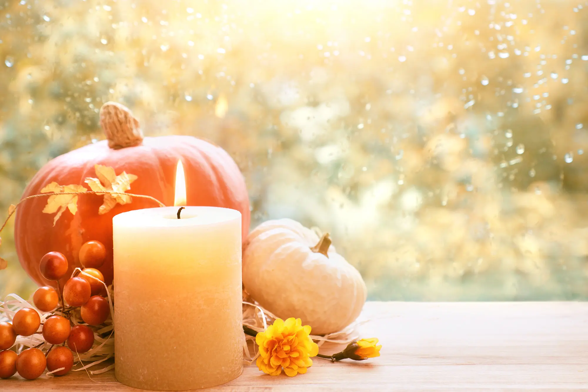 iStock-844444962.webp