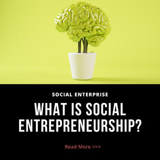 What is Social Entrepreneurship.png